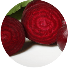 rode-bieten-rond-350-goed