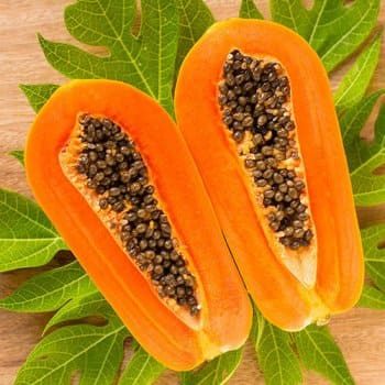 carica-papaya-350px